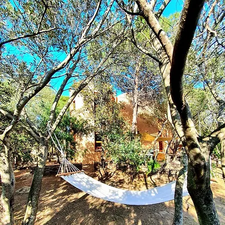 Villa Dommos - Dei Pini Cala Liberotto